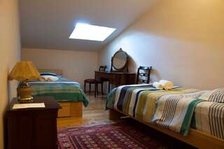 Гостевой дом Guest House Lile Тбилиси Улучшенный двухместный номер с 2 отдельными кроватями-1