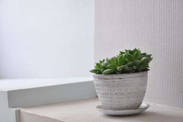 Гостевой дом Guest House Lile Тбилиси-13